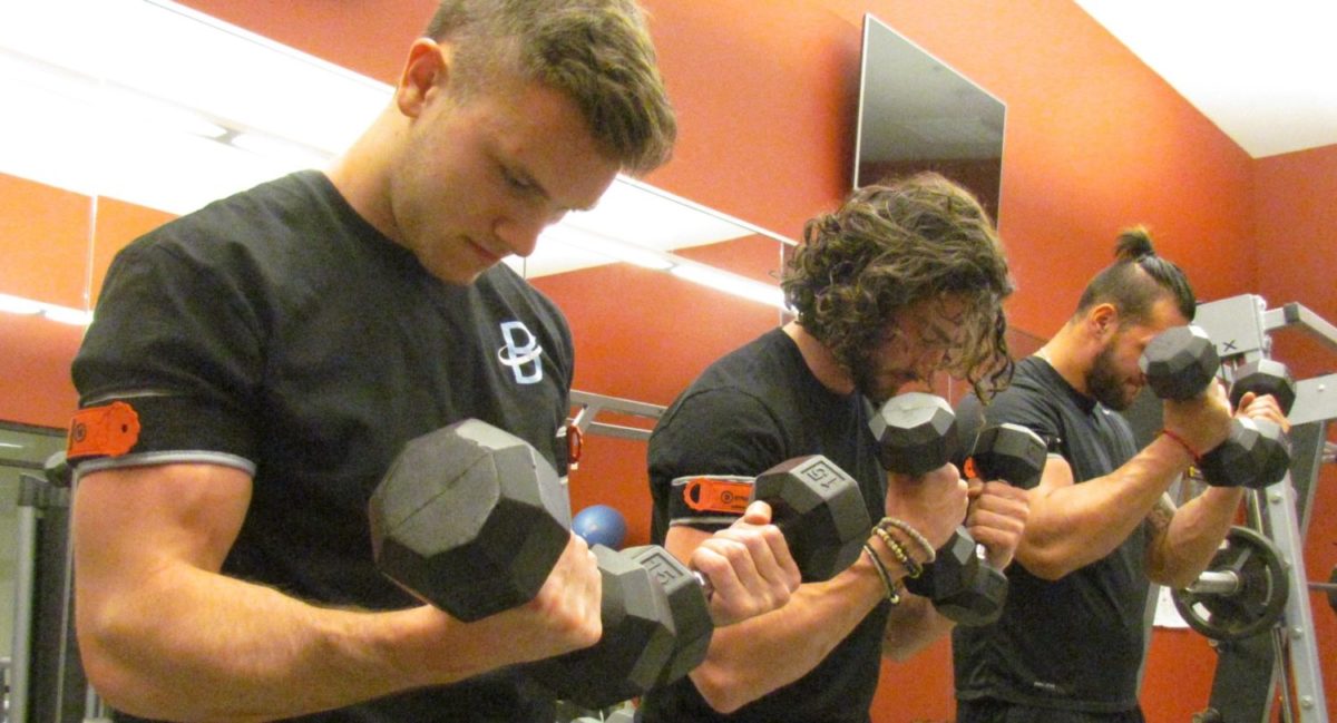 build-muscle