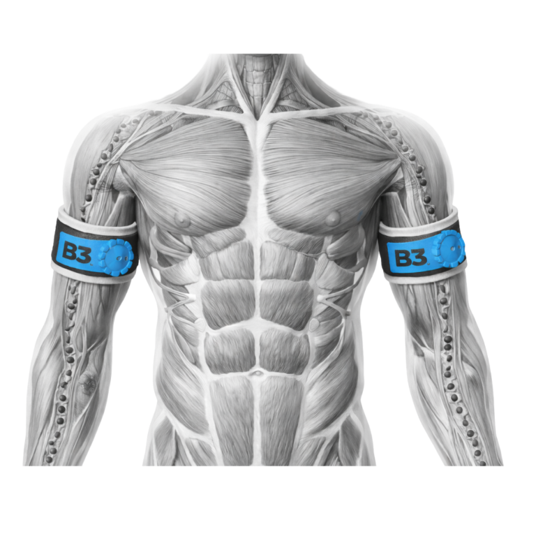 B3 Sciences anatomical illustration showing upper-arm and upper-thigh band placement